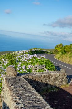 Walk on the Azores archipelago. Discovery of the island of Pico, Azores. Portugal. Madalena