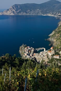 Panorama of the village of Vernazza and of the vineyards of the Shiacchetrà vineyard in Liguria.