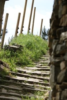 Path on the hills of the Cinque Terre used to reach the vineyards.