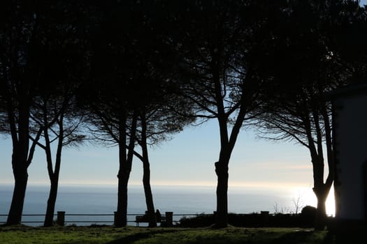Panorama of the Cinque Terre sea seen from the hill of the sanctuary of Soviore. Silouette of pines and deu people sitting on a bench.