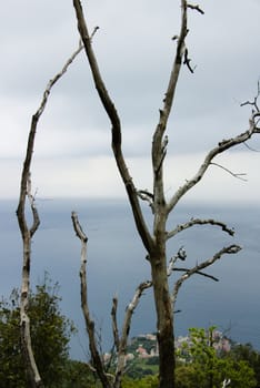 Remains of a fire on the coast of Liguria. Province of La Spezia.