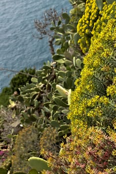 Sea, landscape and vegetation of Liguria. Province of La Spezia