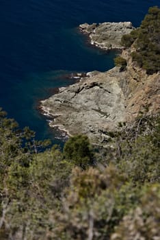 A vegetation made up of pines and Mediterranean scrub above the sea of the Five Lands.