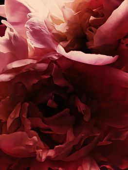 Red peony flower as abstract floral background for holiday branding design