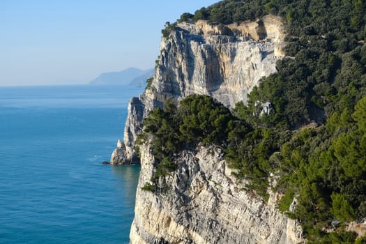 Pine trees overhanging the rocks on the island of Palmaria near Portovenere and the Cinque Terre. Liguria, Italy.