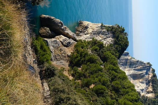 Pine trees overhanging the rocks on the island of Palmaria near Portovenere and the Cinque Terre. Liguria, Italy.