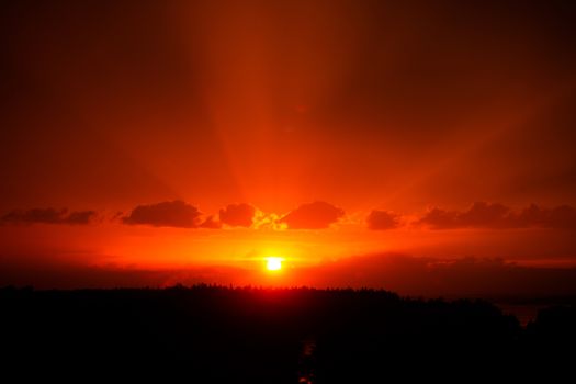 Red sunset sky with rays of sin light and some clouds over the forest