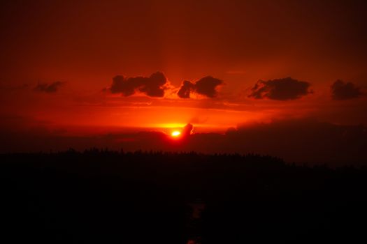 Red sunset sky with rays of sin light and some clouds over the forest