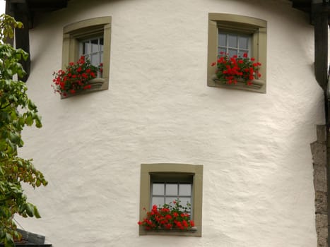 A nice facade of a typical Swiss house. The position of the windows and the geranium flowers make it look like a face.