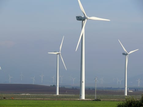 A dense forest of wind generators.