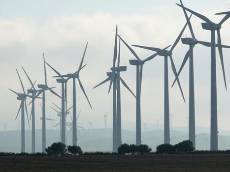 A dense forest of wind generators.