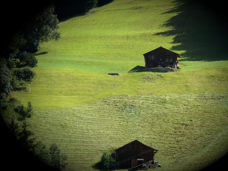 A large lawn surrounded by trees with some wooden huts. Wengen, Switzerland