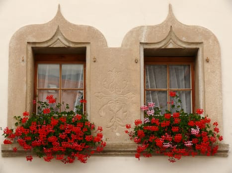Two windows with stone contours and vases of red geraniums.