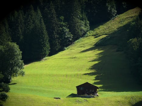 A large lawn surrounded by trees with some wooden huts. Wengen, Switzerland