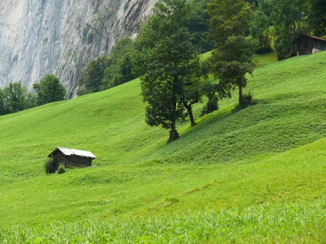 A hut dispersed in a green meadow in the Swiss mountains.