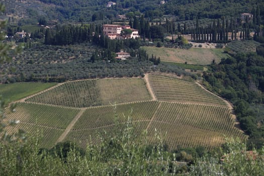 Landscape of the Chianti hills with vineyard cultivation. Ancient Vignamaggio villa in Greve in Chianti with rows of vines. Greve in Chianti