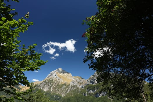 The mountain with a blue sky seen from the path number 6 which leads to Foce di Petrosciana.