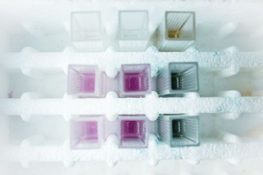Reactive tests in the laboratory. Virus.