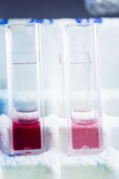 Reactive tests in the laboratory. Virus.