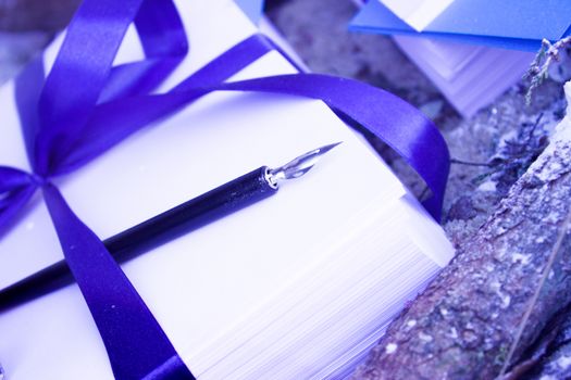 Writing pen on leaves wrapped in a blue bow