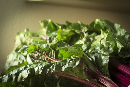 Fresh red chard without cooking. Healthy food for vegetarians and vegans