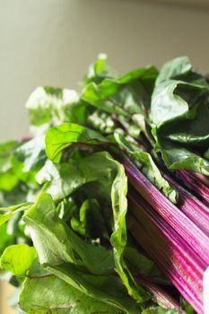 Fresh red chard without cooking. Healthy food for vegetarians and vegans