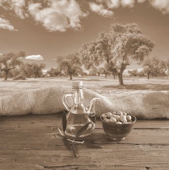 Olive oil on a table in the olive grove.