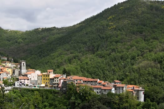 Colonnata, Carrara, Tuscany, Italy. View of the town of Colonnata, famous for the production of lard.The walls of the houses in stone and white Carrara marble. Woods background. Northern Tuscany.