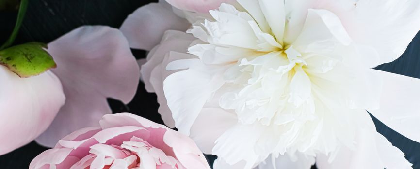 Blooming peony flowers as floral art background, botanical flatlay and luxury branding design