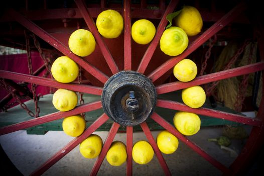 Large yellow lemons on a street market stall. No people