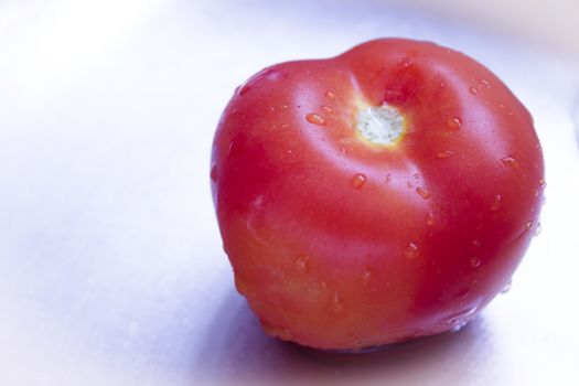 Freshly washed salad tomato. No people