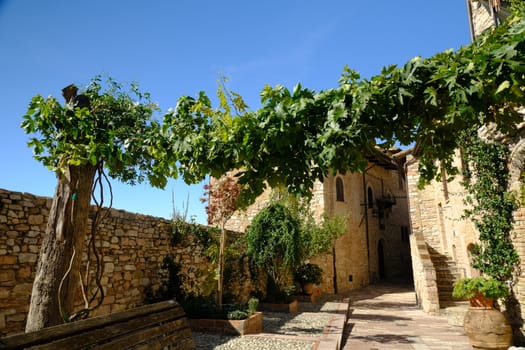 Alley of the city of Assisi with stone facades of historic houses. Arbor with climbing vine plant and flags on the walls of buildings.