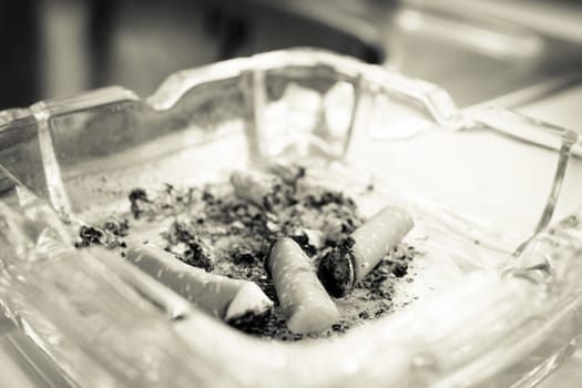 Ashtray with several cigarettes consumed and extinguished. Cigarette ash