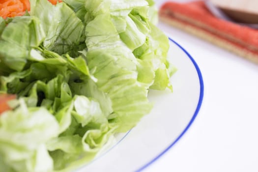 Lettuce, carrot, cucumber, tomato and onion salad. No people