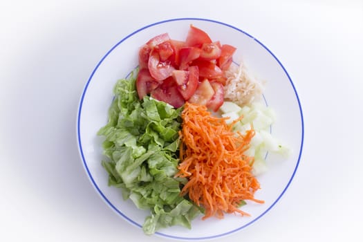 Lettuce, carrot, cucumber, tomato and onion salad. No people