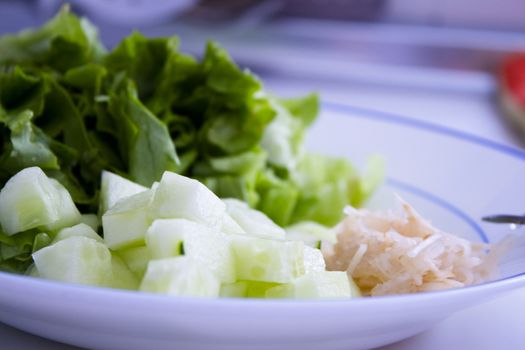 Salad with lettuce, tomato, onion and cucumber. No people