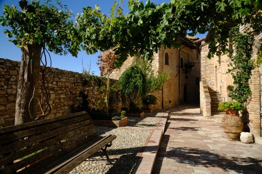 Alley of the city of Assisi with stone facades of historic houses. Arbor with climbing vine plant and flags on the walls of buildings.