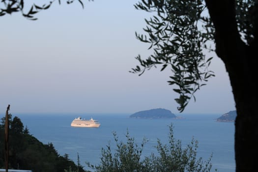 La Spezia, Liguria, Italy, about the August 2019. Seascape with olive tree and Crystal Serenity cruise ship. The Gulf in the Mediterranean Sea with Islands in the background light of dawn.