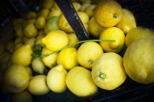 Large yellow lemons on a street market stall. No people