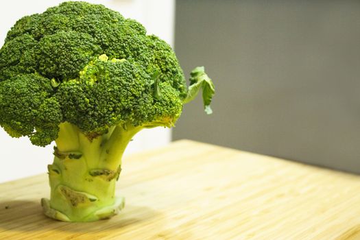 Standing broccoli simulating a tree. No people