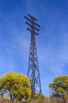 Electric tower and trees near
