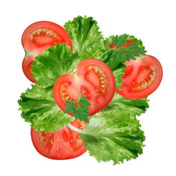 Freshness vegetables background. Red sliced tomatoes between green salad leaves