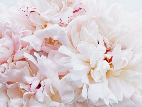 Bouquet of peony flowers on luxury marble background, wedding flatlay and event branding design