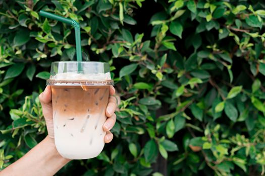 Hand holding iced coffee on tree background