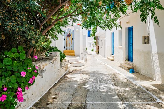 Picturesque narrow street with traditional whitewashed houses with blooming flowers of Naousa town in famous tourist attraction Paros island, Greece