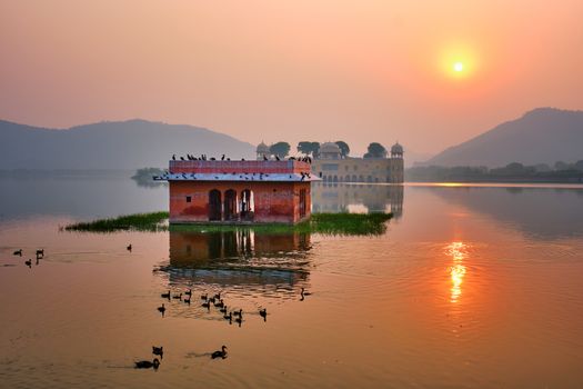 Tranquil morning at famous indian tourist landmark Jal Mahal (Water Palace) at sunrise in Jaipur. Ducks and birds around enjoy the serene morning. Jaipur, Rajasthan, India