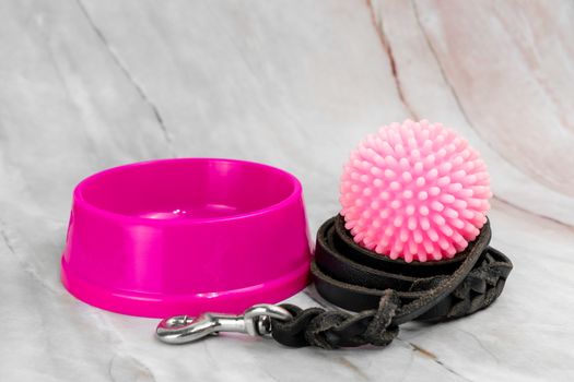 Bowl for pet and leashes with collars