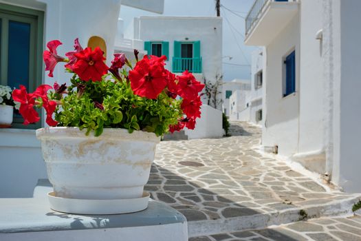 Picturesque narrow street with traditional whitewashed houses with focus on blooming geranium flower of Naousa town in famous tourist attraction Paros island, Greece