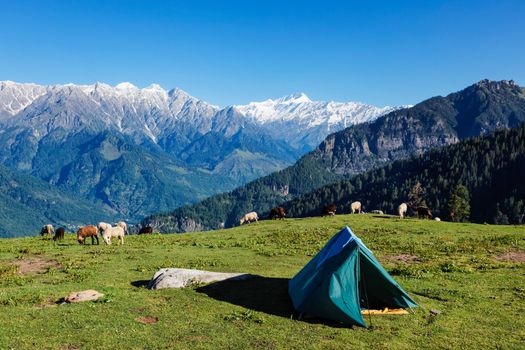 Tent in Himalayas mountains with flock of sheep grazing. Kullu Valley, Himachal Pradesh, India