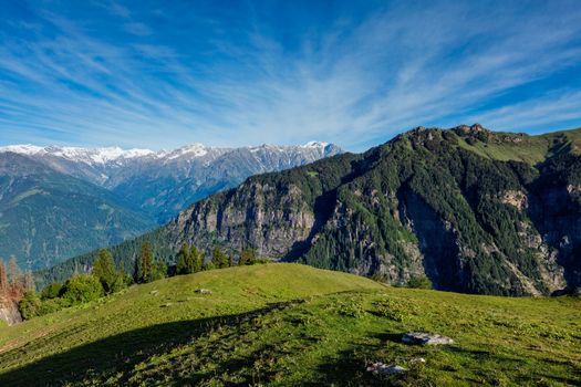 Spring meadow in Kullu valley in Himalaya mountains. Himachal Pradesh, India